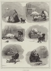 Une tragédie domestique